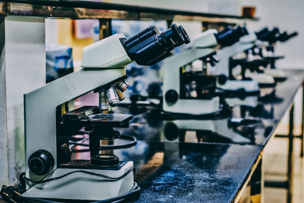 Image of a row of microscopes focusing on microbiome microorganisms