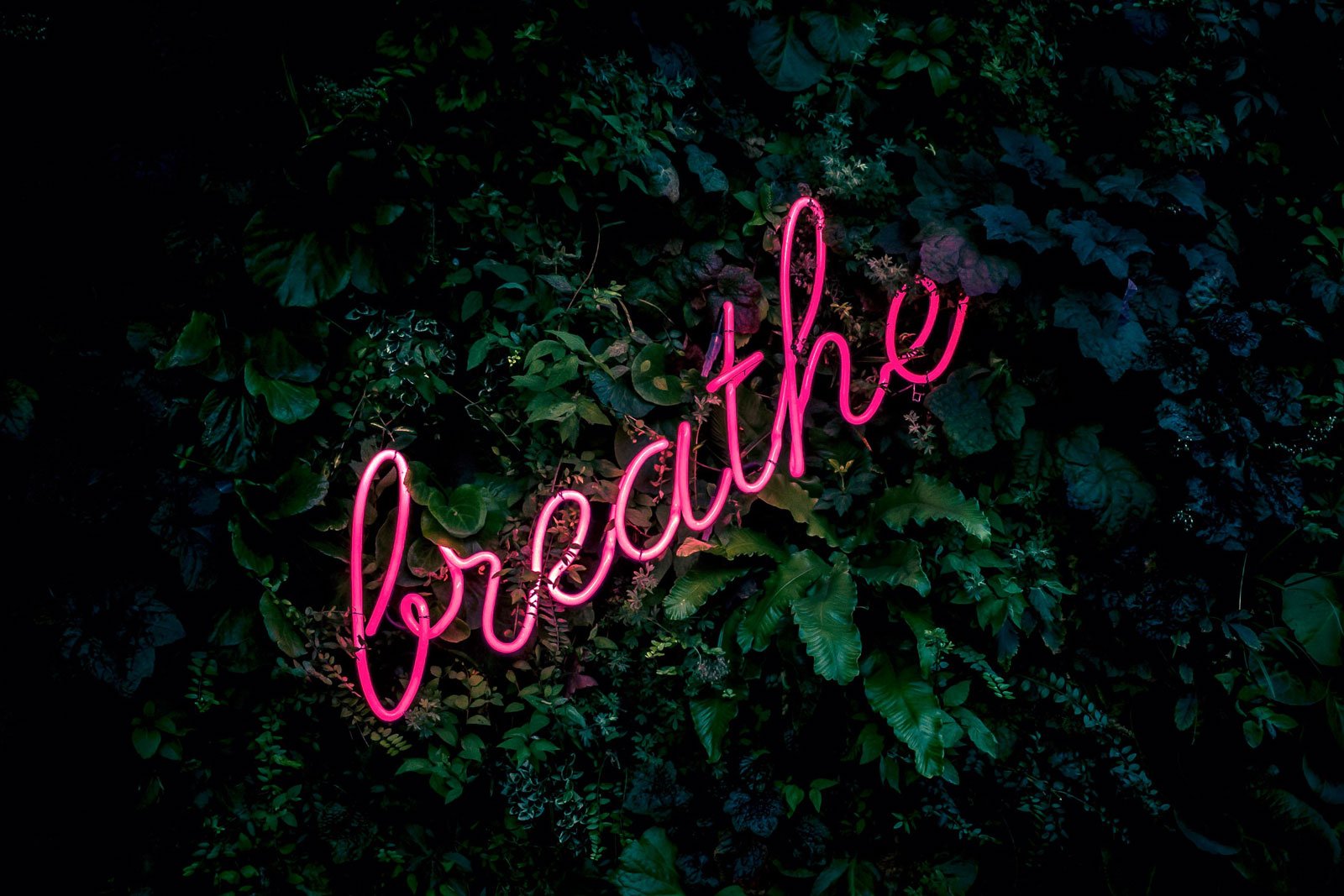 Image of the word 'breathe' in pink letters in front of some leaves